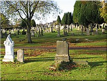 NT1088 : Cemetery, Dunfermline by Richard Webb