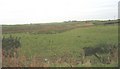 View towards the railway cutting through the wetland