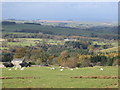 Pastures above Studdon Park