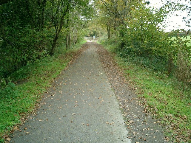 the old railway cycle route new forest