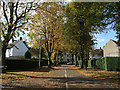 Autumn on Tofts Road