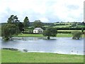 View of Brechfa Pool