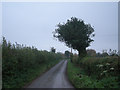 Nearing dusk on the lane to Coton Hall