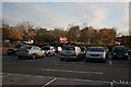 Car park and Trees