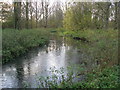 Meden Vale - River Meden