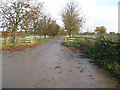 Footpath along a farm drive