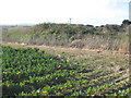 Earthworks near Treeve Farm