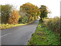 Newyears Green: Fine Bush Lane