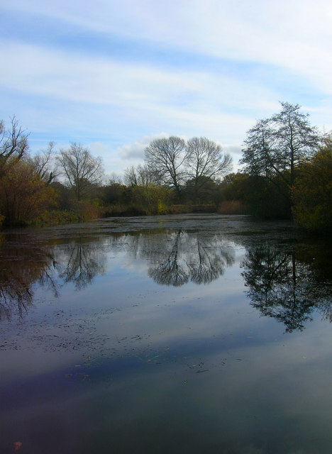 Lake, Woods Mill Nature Reserve