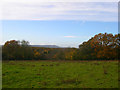 Autumn Colours near Oreham Common