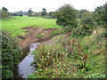 Mimmshall Brook near Potters Bar