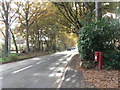 SU0801 : Ferndown: postbox № BH22 149, West Moors Road by Chris Downer