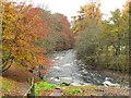 River Ardle riverside walk