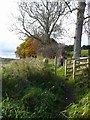 The River Ayr Way leaves the B730 north of Stair