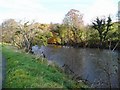 The River Ayr at Clune