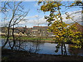 View across the canal from the bottom of  Macleod Street