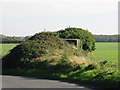 Vegetation covered pill box on the Staple Road