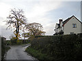 The lane through Hawkswood