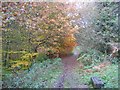 Footpath and bench at Moss Valley Country Park