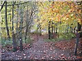 Steps between footpaths at Moss Valley Country Park