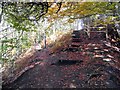 Steps up by the disused quarry at Moss Valley Country Park