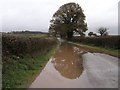 Country road north of Llandybie