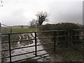 Farm fields near Llandybie