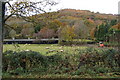 Farm scene in Autumn, Llandogo