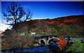 Bridge over Dundonnell River, Badralloch road.