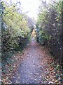 Tile Hill Lane footway