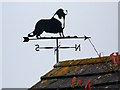 Weather vane, Cheselbourne