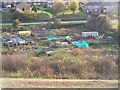 Allotments along Street End Road, Luton