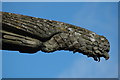 Gargoyle, Woodchester Mansion