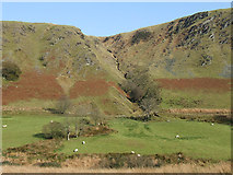 SN8056 : Pasture and crags, Cwm Tywi, Powys by Roger  D Kidd