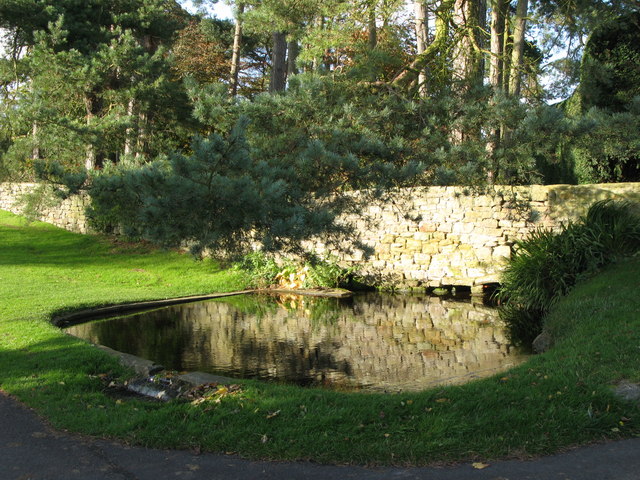 Pond near Halton Church
