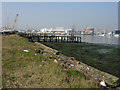 Foreshore in industrial area