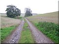 Bridleway near Thorncombe Farm