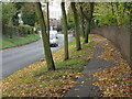 Wollaton Road and the Park wall