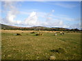 Looking NNE from Gors Fawr stone circle