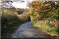 Road scene in Autumn