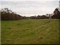 Field at Oldcotes