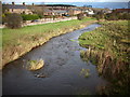 The River Blackadder flowing alongside Marchmont  Road.