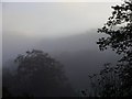 Morning mist over Allt y Ricet