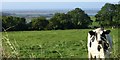 A view over the Taf estuary