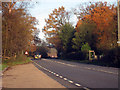 A21, Sedlescombe, East Sussex