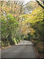 The road from Perran Wharf to Carclew in Autumn