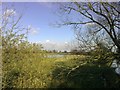 Sodden Meadow, Thornton