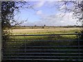 Gated Field Entrance, Thornborough