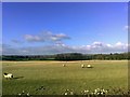 View across the Fields