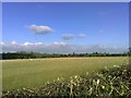 Across the Field, Thornborough